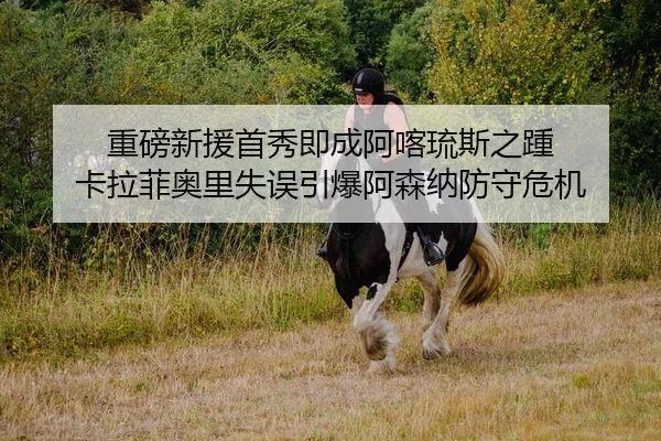 重磅新援首秀即成阿喀琉斯之踵 卡拉菲奥里失误引爆阿森纳防守危机